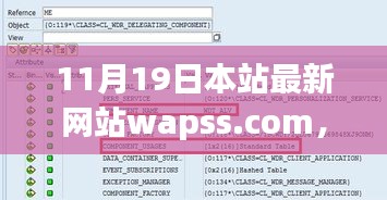 初學(xué)者與進(jìn)階用戶必看，最新網(wǎng)站wapss.com使用指南全攻略