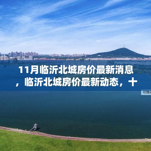 臨沂北城房價最新動態(tài)與深度觀察，十一月房價消息一覽