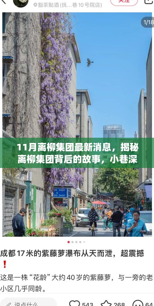 離柳集團最新揭秘，小巷深處的獨特風味小店十一月探訪之旅