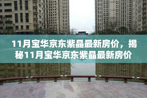 揭秘，11月寶華京東紫晶最新房?jī)r(jià)與投資先機(jī)全解析！