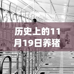 歷史上的11月19日，養(yǎng)豬場(chǎng)用地新政策解讀與操作指南，最新政策解讀及操作指南