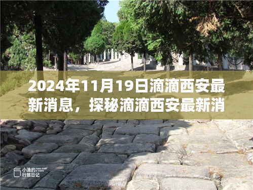 滴滴西安最新動(dòng)態(tài)揭秘，小巷深處的隱藏瑰寶（2024年11月19日更新）