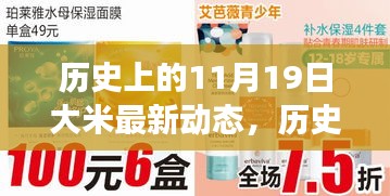 歷史上的11月19日大米動(dòng)態(tài)回顧，一粒米的旅程與成長(zhǎng)啟示