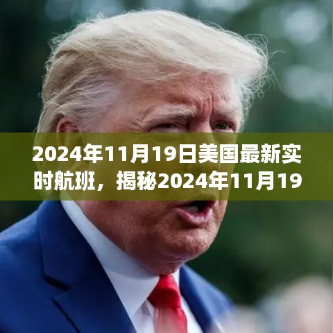 揭秘，2024年11月19日美國實時航班動態(tài)概覽
