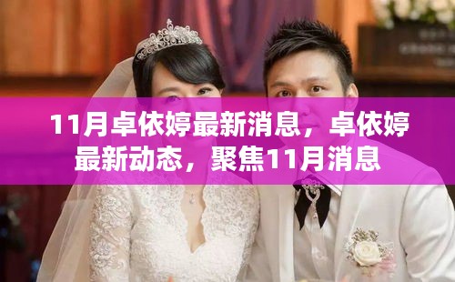 卓依婷11月最新動(dòng)態(tài)與消息聚焦
