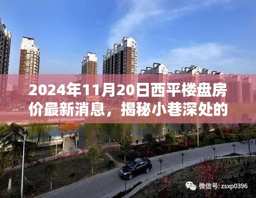 揭秘繁華西平樓盤背后的神秘小店與最新房價(jià)動(dòng)態(tài)，2024年西平房產(chǎn)最新消息及小巷風(fēng)情探索