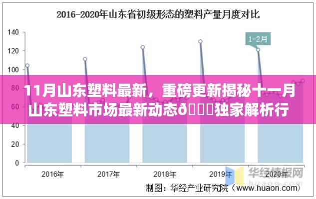 揭秘山東塑料市場(chǎng)最新動(dòng)態(tài)與行業(yè)趨勢(shì)獨(dú)家解析