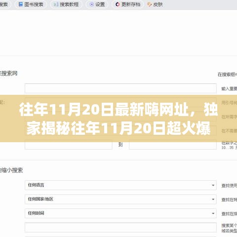 獨(dú)家揭秘，往年11月20日超火爆嗨網(wǎng)址大放送，嗨不停歇的狂歡盛宴！