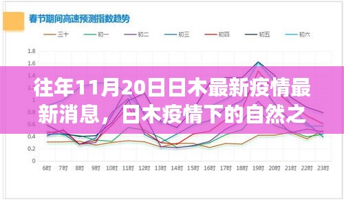 日木疫情最新動(dòng)態(tài)，自然之旅中尋找內(nèi)心寧?kù)o與奇跡的奇跡時(shí)刻