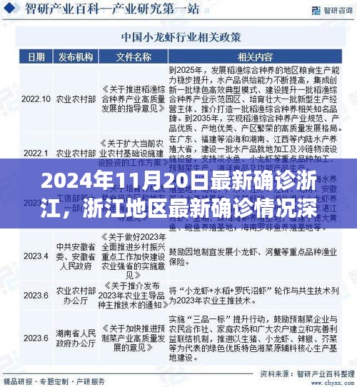 浙江最新確診深度解析，挑戰(zhàn)與機(jī)遇并存——浙江地區(qū)疫情報(bào)告（2024年11月20日）