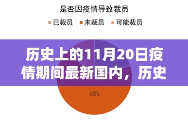 我的觀點(diǎn)，歷史上的11月20日與疫情期間國(guó)內(nèi)現(xiàn)狀的探討