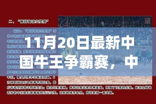 中國(guó)牛王爭(zhēng)霸賽深度探討，某某觀點(diǎn)解析與對(duì)決