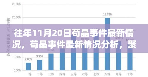 茍晶事件最新動態(tài)與觀點聚焦，最新情況分析與聚焦某某觀點