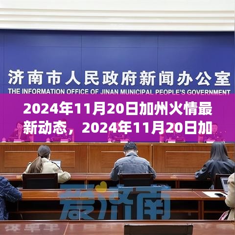 深度解析與個人立場下的加州火情最新動態(tài)，多方觀點探討，2024年11月20日