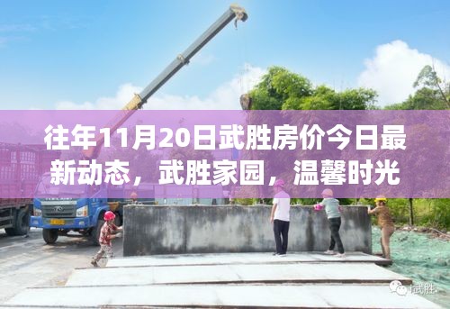 往年11月20日武勝房?jī)r(jià)今日最新動(dòng)態(tài)，武勝家園，溫馨時(shí)光與房?jī)r(jià)的微妙交響曲