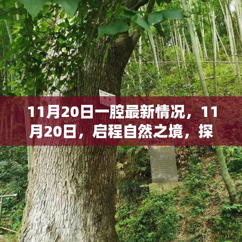 11月20日啟程自然之境，探尋內心的桃花源最新動態(tài)