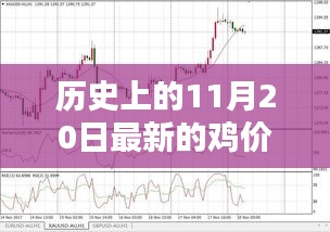 歷史上的雞價走勢，揭秘11月20日的雞價走勢分析