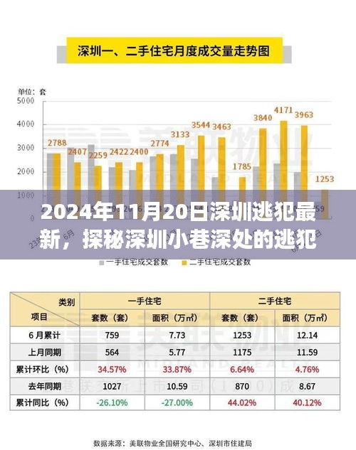 探秘深圳小巷深處的逃犯新去處，特色小店背后的故事（2024年11月20日深圳逃犯最新）