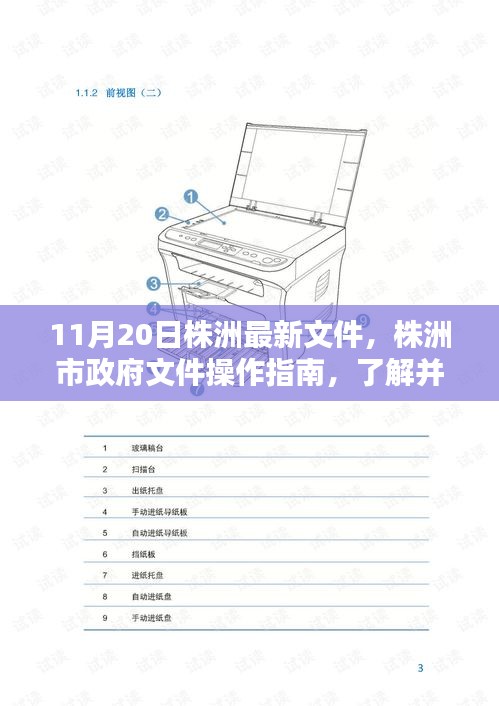 株洲市政府文件操作指南，解讀最新文件，適合初學(xué)者與進階用戶了解遵循（11月20日版）