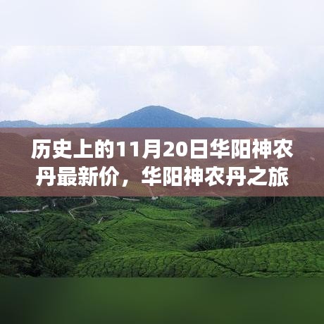 華陽神農(nóng)丹之旅，探尋歷史價格與自然美景，尋找內(nèi)心的寧靜與和諧