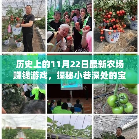 歷史上的11月22日最新農(nóng)場(chǎng)賺錢游戲，探秘小巷深處的寶藏，歷史上的11月22日，全新農(nóng)場(chǎng)賺錢游戲起源地