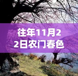 農(nóng)門春色，暖陽下的秋日趣事與深厚友情最新章節(jié)發(fā)布（XXXX年XX月XX日）