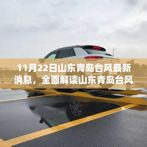 山東青島臺風(fēng)最新動態(tài)，特性解析、競品對比與用戶群體分析體驗報告