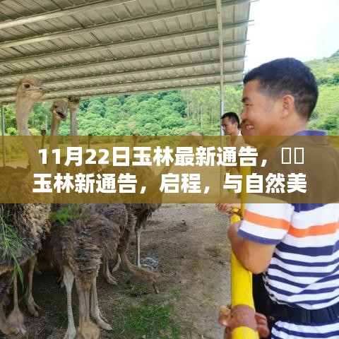 儀態(tài)萬方 第7頁