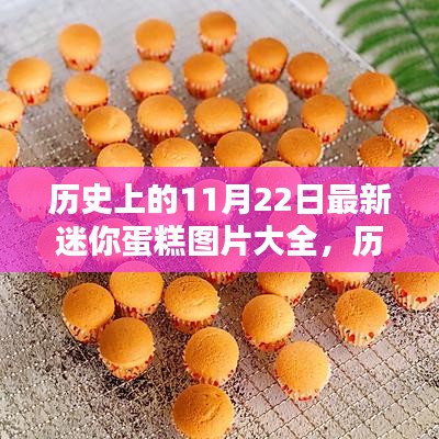 坌鳥先飛 第6頁