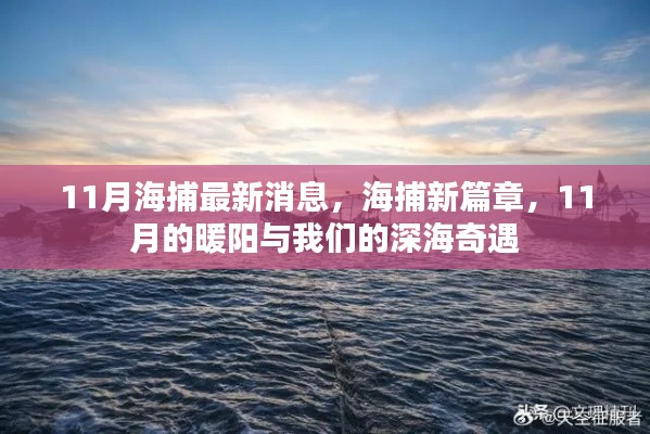11月深海奇遇，海捕新篇章開(kāi)啟，暖陽(yáng)下的深海探索之旅