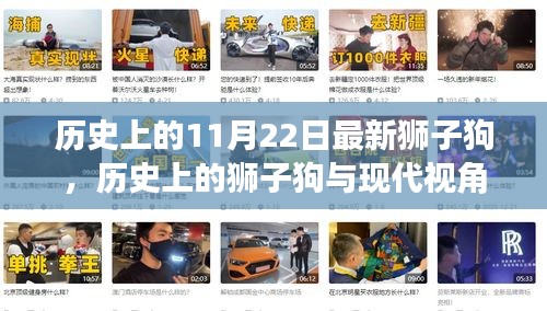 歷史上的獅子狗，從過去到現(xiàn)代的視角探討與最新獅子狗事件回顧