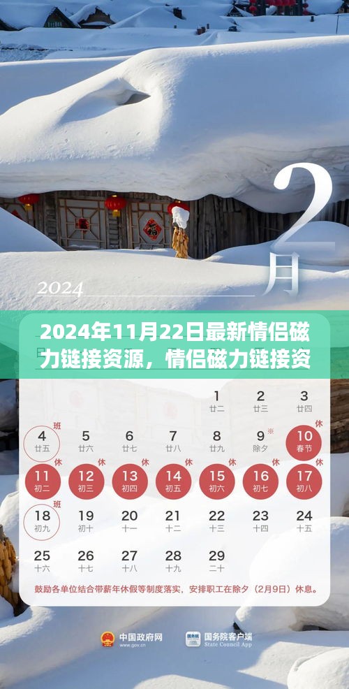 2024年情侶磁力鏈接資源新動(dòng)態(tài)，探索最新進(jìn)展與資源