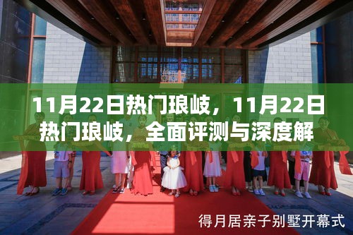 11月22日熱門瑯岐，全面評測與深度解析