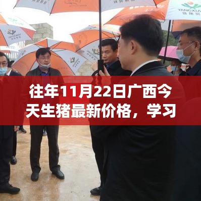 廣西生豬最新價格動態(tài)，見證躍升的力量，成長之路精彩紛呈
