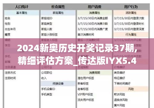 2024新奧歷史開獎(jiǎng)記錄37期,精細(xì)評(píng)估方案_傳達(dá)版IYX5.41