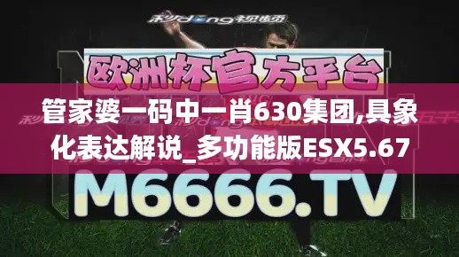管家婆一碼中一肖630集團(tuán),具象化表達(dá)解說_多功能版ESX5.67