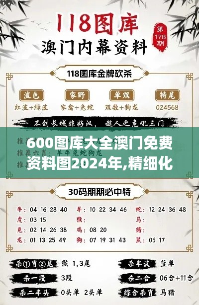600圖庫大全澳門免費資料圖2024年,精細(xì)化實施分析_體驗版TCE5.80