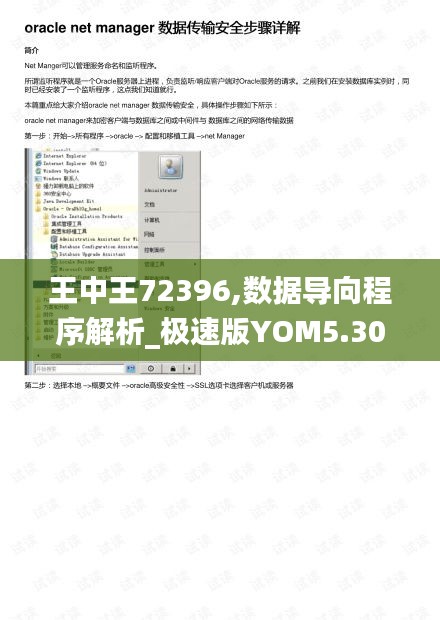王中王72396,數(shù)據(jù)導(dǎo)向程序解析_極速版YOM5.30