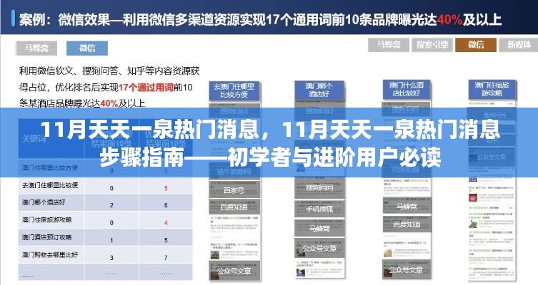 11月天天一泉熱門消息全解析，初學(xué)者與進(jìn)階用戶步驟指南