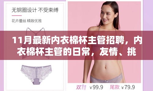 11月內衣棉杯主管招聘，日常、友情、挑戰(zhàn)與家的溫暖