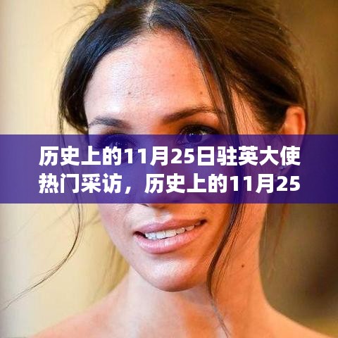 歷史上的11月25日，駐英大使熱門采訪深度解讀
