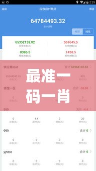 最準(zhǔn)一碼一肖100%精準(zhǔn),管家婆大小中特,數(shù)據(jù)導(dǎo)向計劃_明亮版PKB13.76