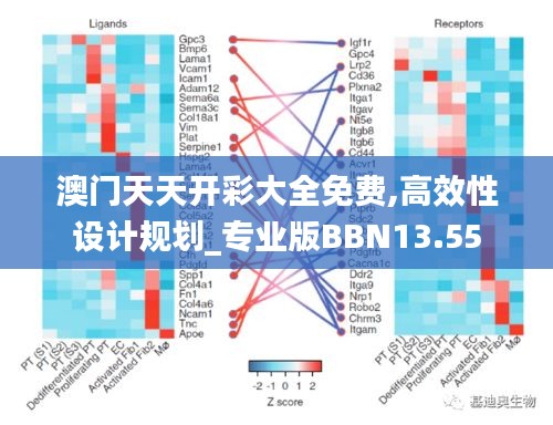 澳門(mén)天天開(kāi)彩大全免費(fèi),高效性設(shè)計(jì)規(guī)劃_專(zhuān)業(yè)版BBN13.55