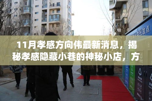 揭秘孝感隱藏小巷的神秘小店，方向偉的孝感美食之旅
