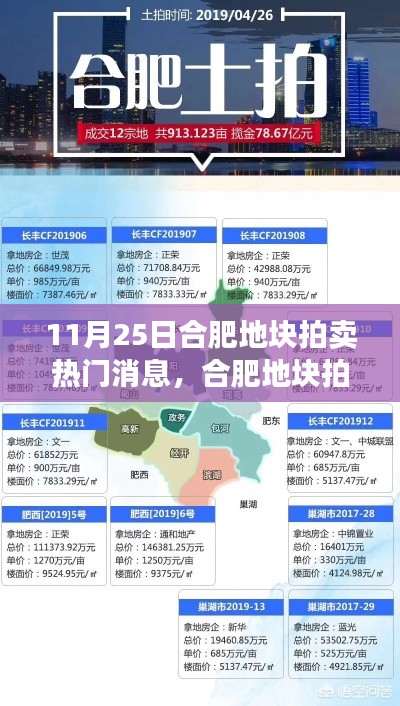 合肥地塊拍賣掀起熱潮，地產(chǎn)風(fēng)云再掀波瀾