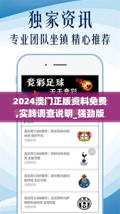 2024澳門正版資料免費(fèi),實(shí)踐調(diào)查說明_強(qiáng)勁版NYK13.11