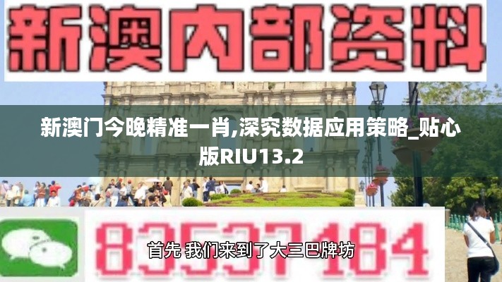 新澳門今晚精準一肖,深究數(shù)據(jù)應用策略_貼心版RIU13.2