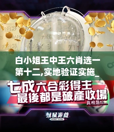 白小姐王中王六肖選一第十二,實(shí)地驗(yàn)證實(shí)施_商務(wù)版BJL13.76
