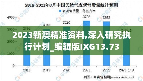 2023新澳精準(zhǔn)資料,深入研究執(zhí)行計(jì)劃_編輯版IXG13.73