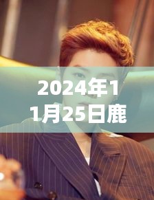 鹿晗微博頭像最新照片揭秘，音樂的力量與時代印記（2024年11月25日回顧）